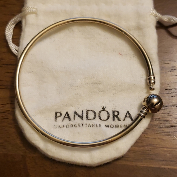 Pandora bangle bracelet.